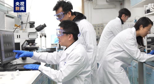 我国科研人员实现二维金属碲化物材料宏量制备，助力材料科学规模化应用