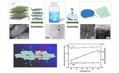 中科院大连化物所杨维慎研究员团队在二维金属有机骨架分离膜研究中取得重要新进展